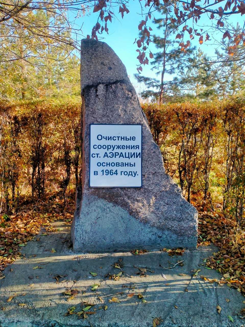 Учеба на практике — 4